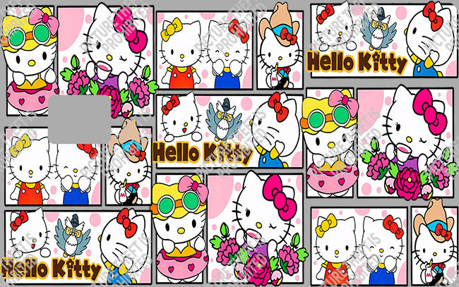Bank  Card Sticker-BC-3496